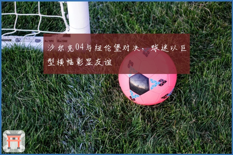 沙尔克04与纽伦堡对决，球迷以巨型横幅彰显友谊