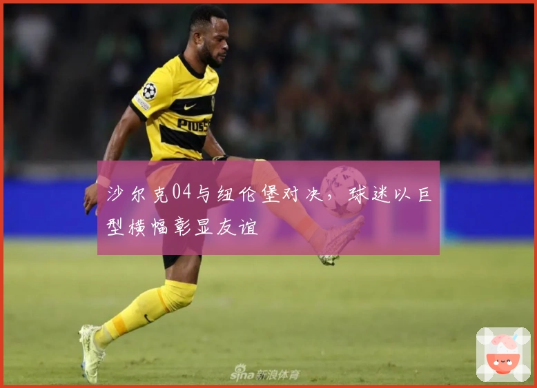 沙尔克04与纽伦堡对决，球迷以巨型横幅彰显友谊